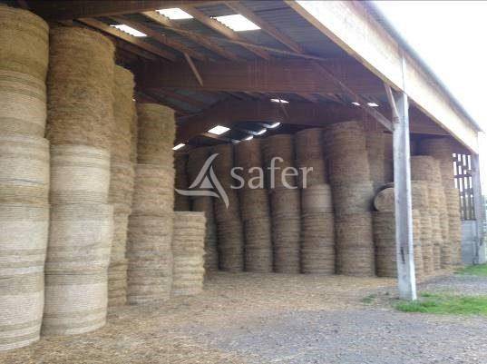 Other agricultural property  Orne