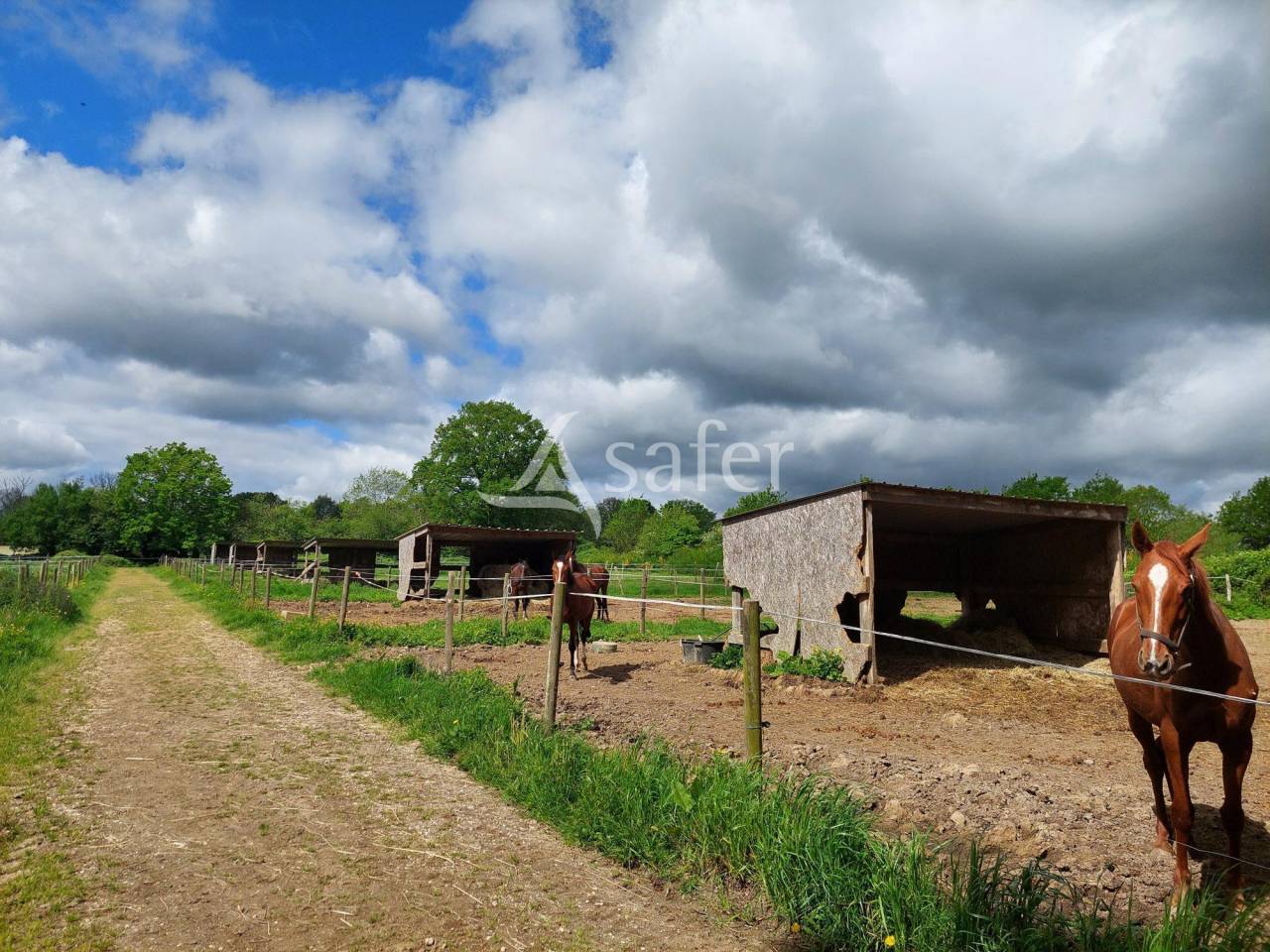 Equestrian property  Loire-Atlantique