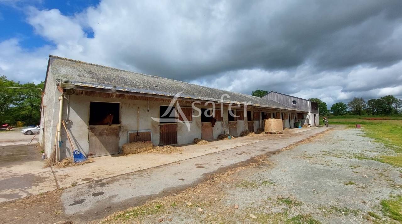 Equestrian property  Loire-Atlantique