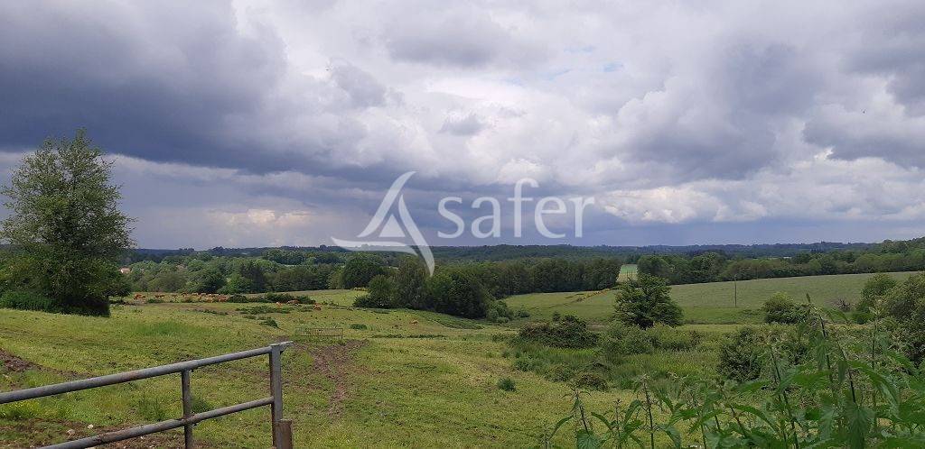 Sheep farm  Haute-Vienne