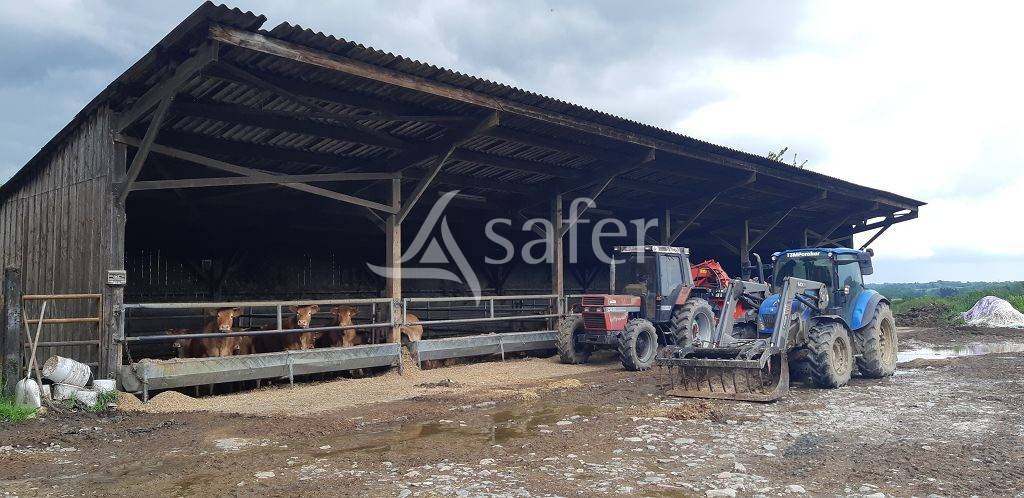 Sheep farm  Haute-Vienne