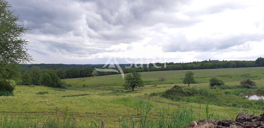 Sheep farm  Haute-Vienne
