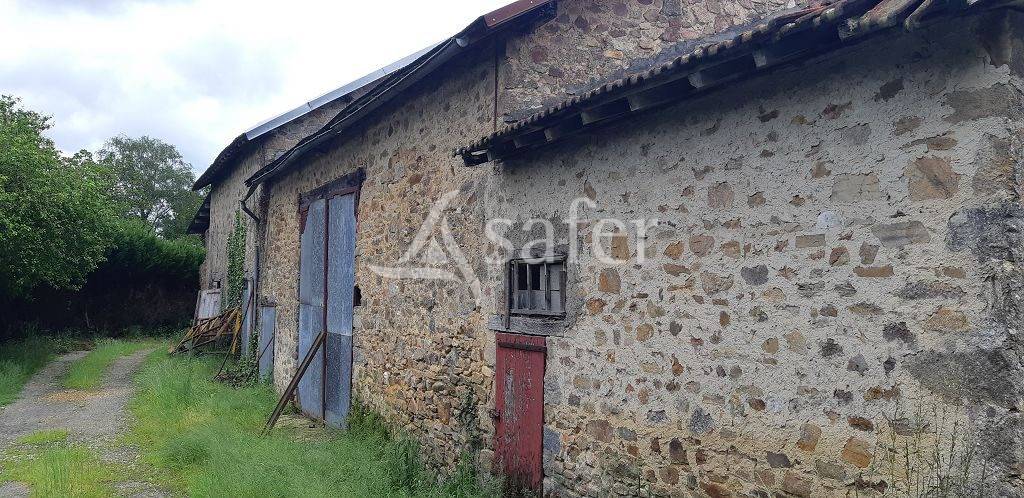 Sheep farm  Haute-Vienne