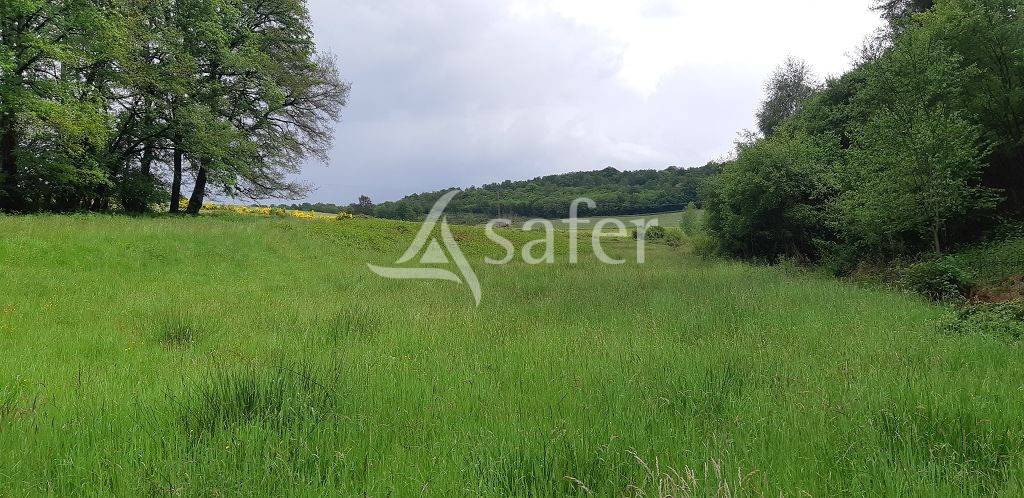 Sheep farm  Haute-Vienne