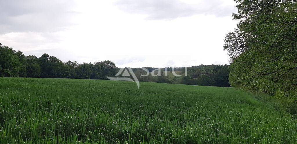 Sheep farm  Haute-Vienne