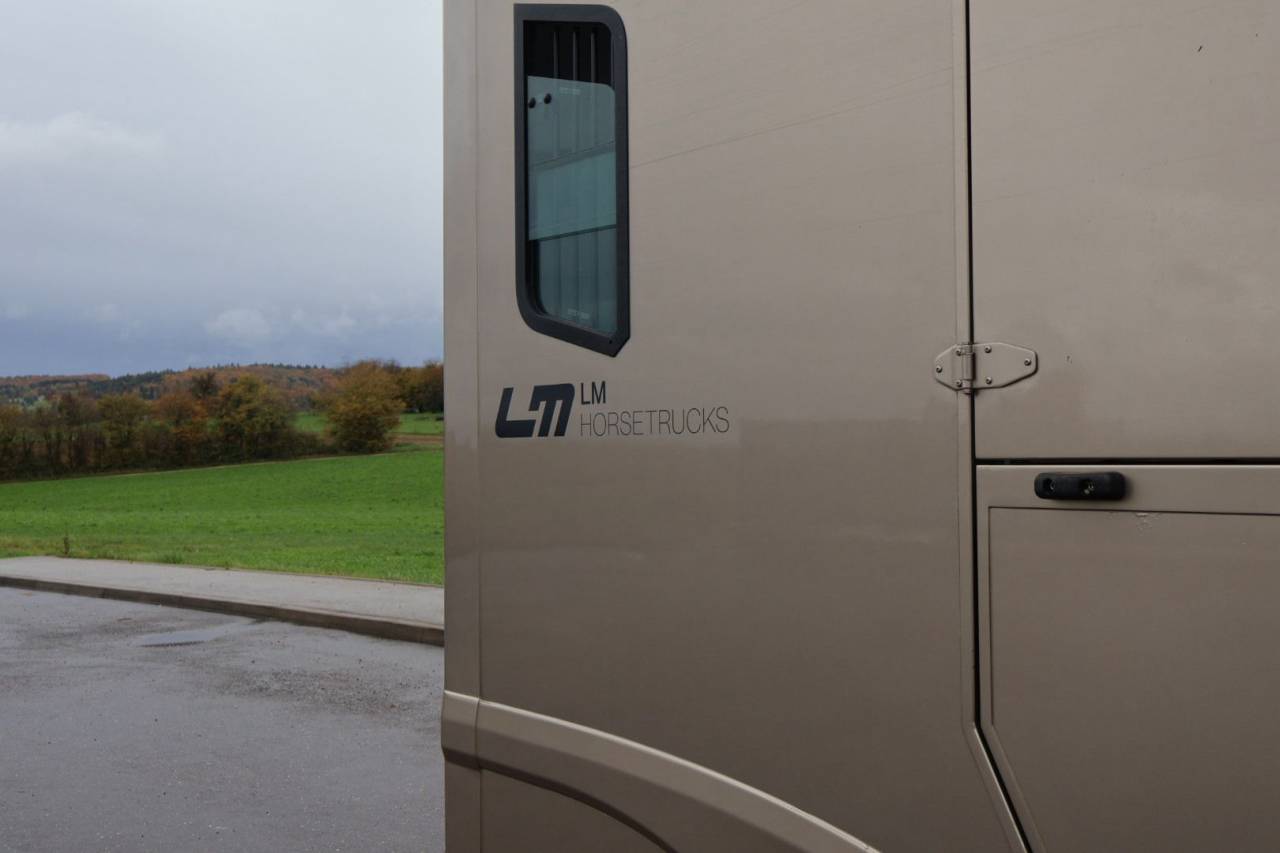 Horsebox HGV Theault MASTER PROTEO SWITCH 2019 Used