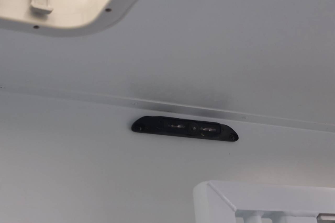 Horsebox HGV Theault MASTER PROTEO SWITCH 2019 Used