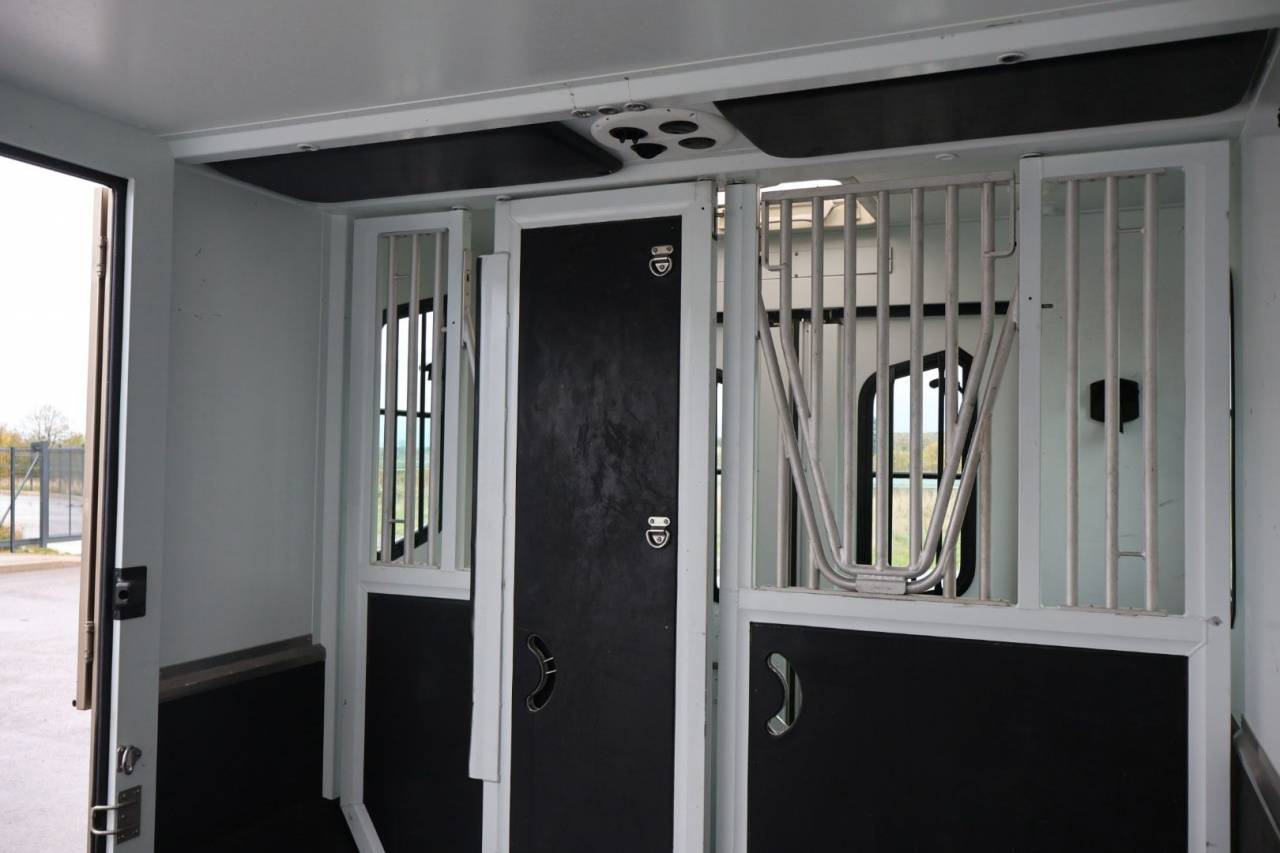 Horsebox HGV Theault MASTER PROTEO SWITCH 2019 Used