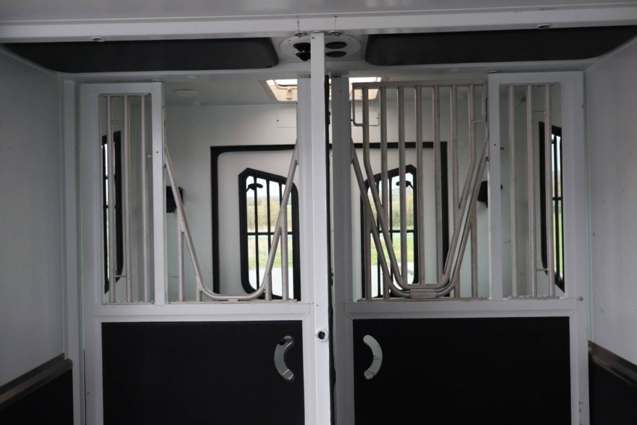 Horsebox HGV Theault MASTER PROTEO SWITCH 2019 Used