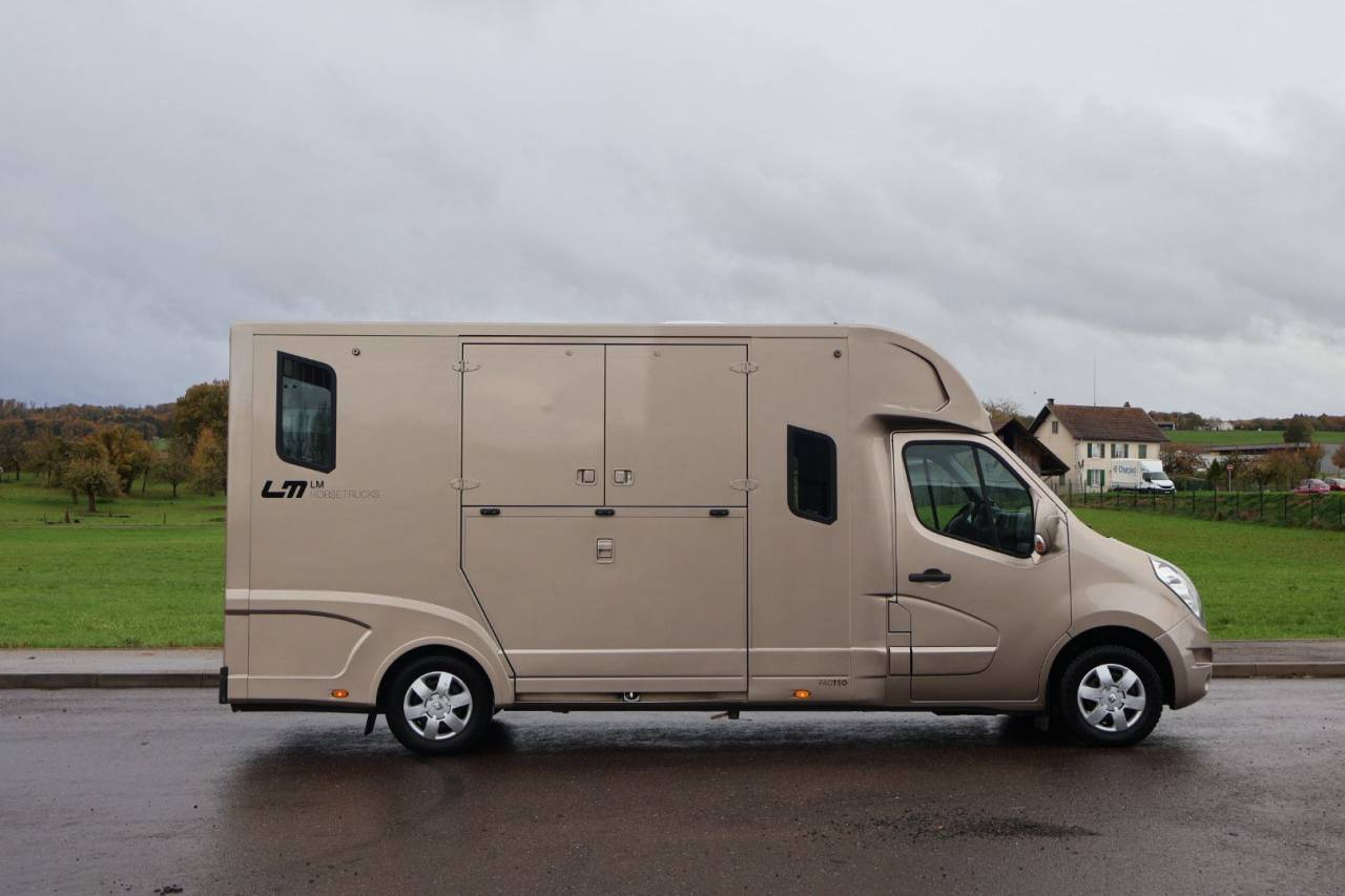 Horsebox HGV Theault MASTER PROTEO SWITCH 2019 Used