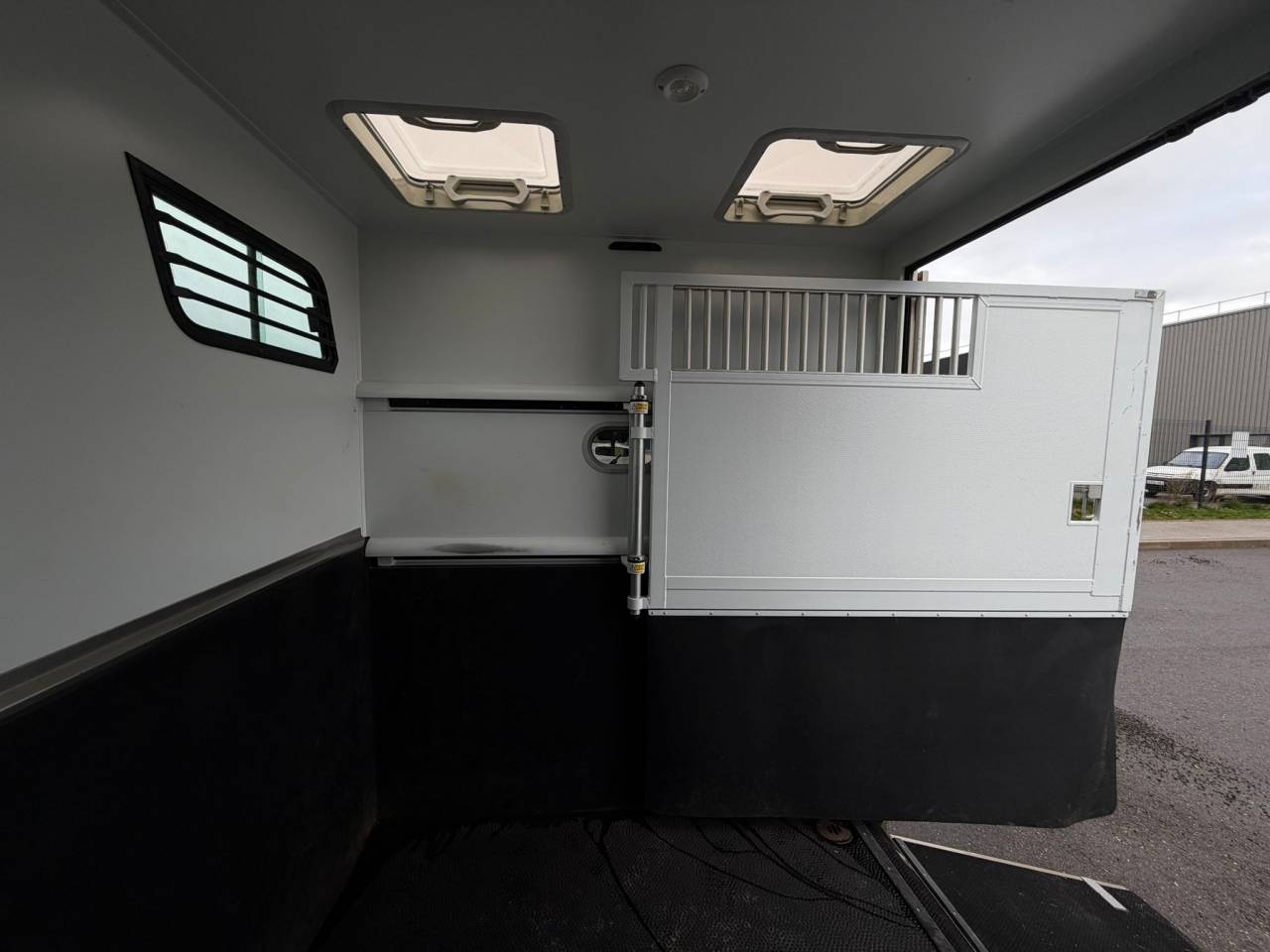 Horsebox HGV Theault MASTER PROTEO SWITCH 2019 Used