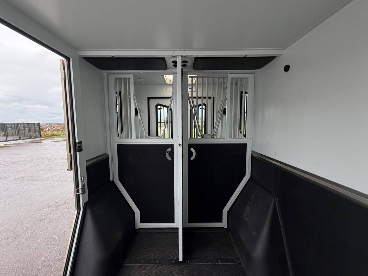 Horsebox HGV Theault MASTER PROTEO SWITCH 2019 Used