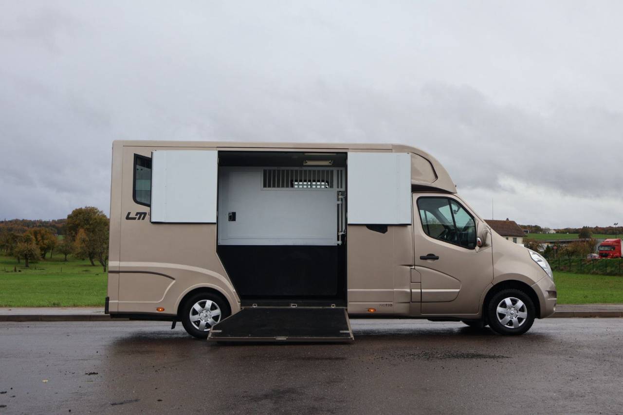 Horsebox HGV Theault MASTER PROTEO SWITCH 2019 Used