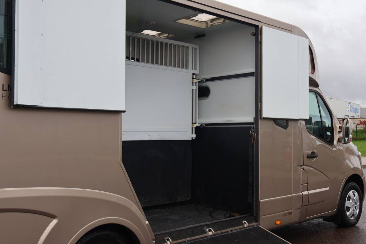 Horsebox HGV Theault MASTER PROTEO SWITCH 2019 Used