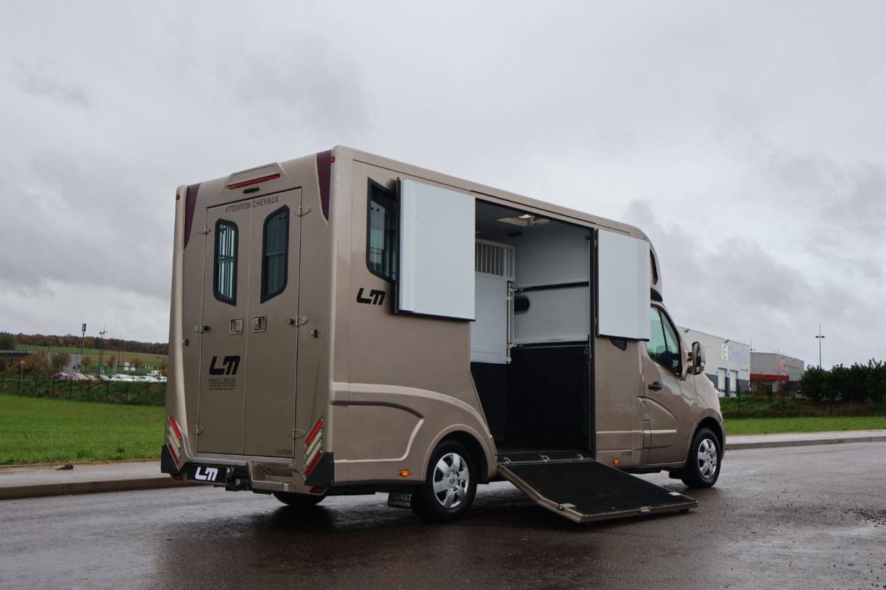 Horsebox HGV Theault MASTER PROTEO SWITCH 2019 Used