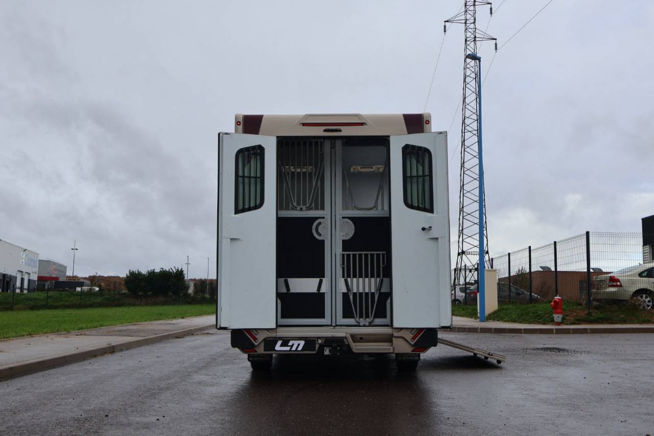 Horsebox HGV Theault MASTER PROTEO SWITCH 2019 Used