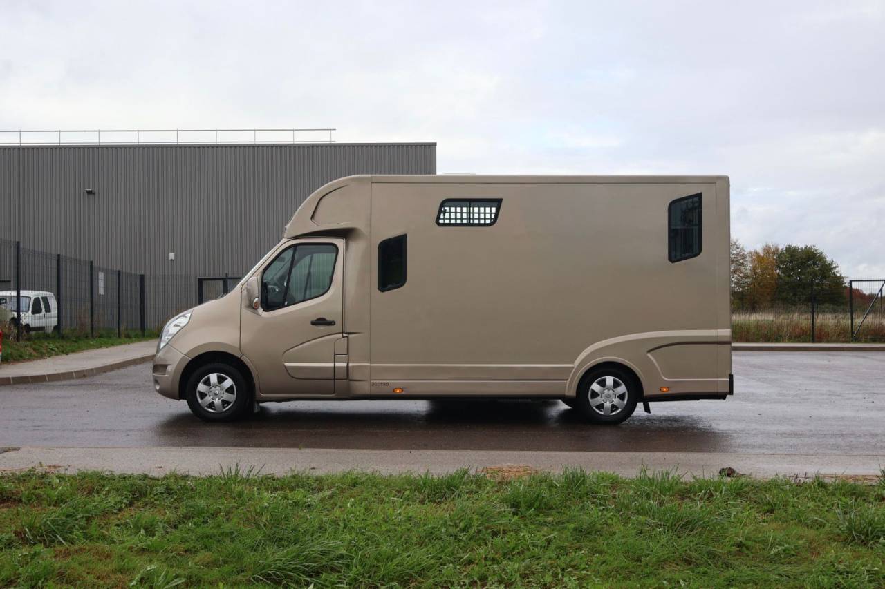 Horsebox HGV Theault MASTER PROTEO SWITCH 2019 Used