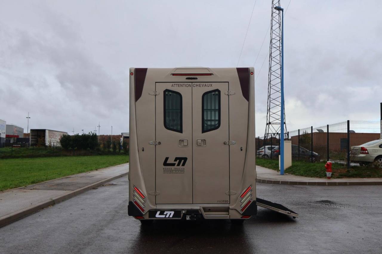Horsebox HGV Theault MASTER PROTEO SWITCH 2019 Used