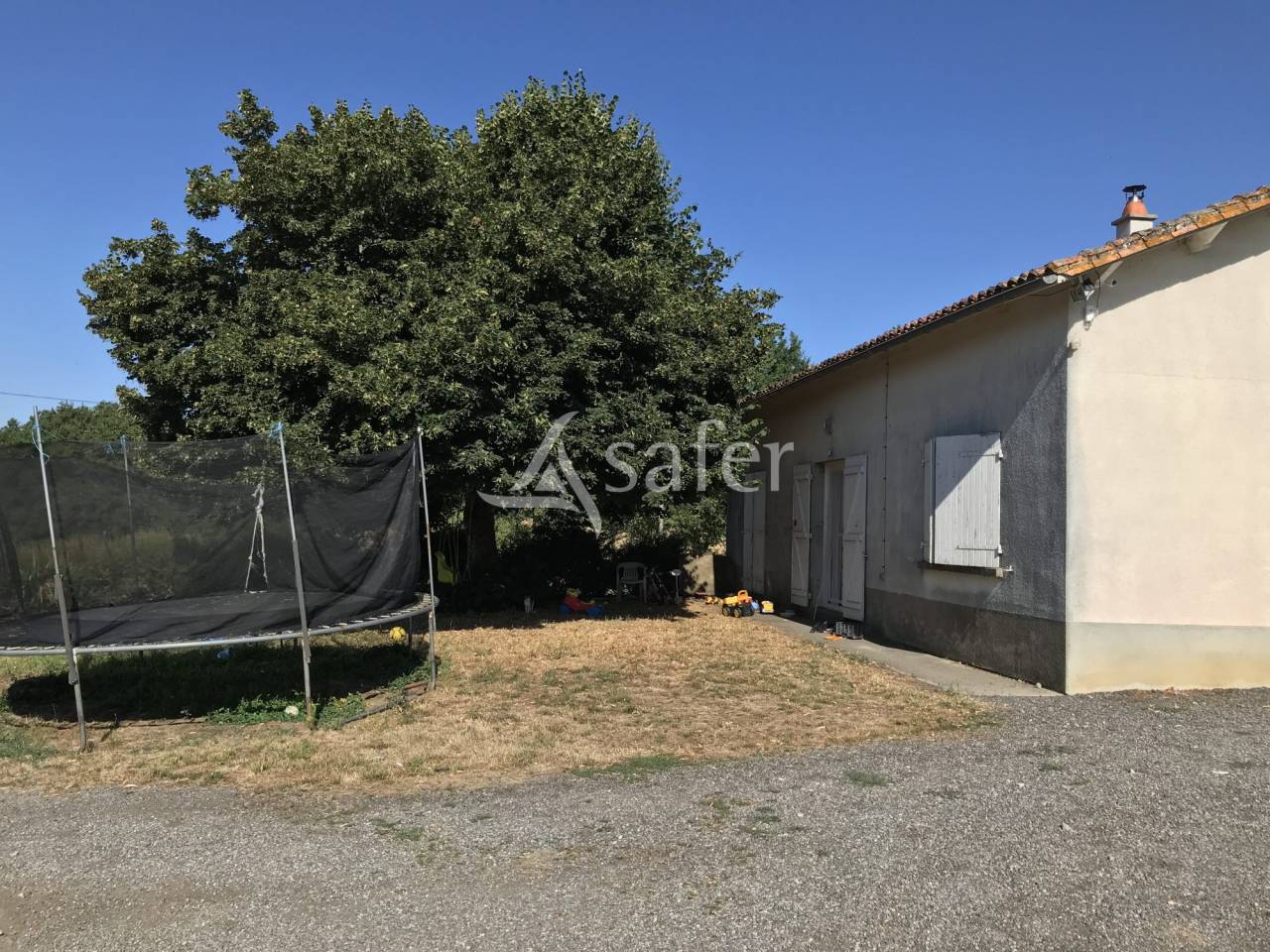 Sheep farm  Charente