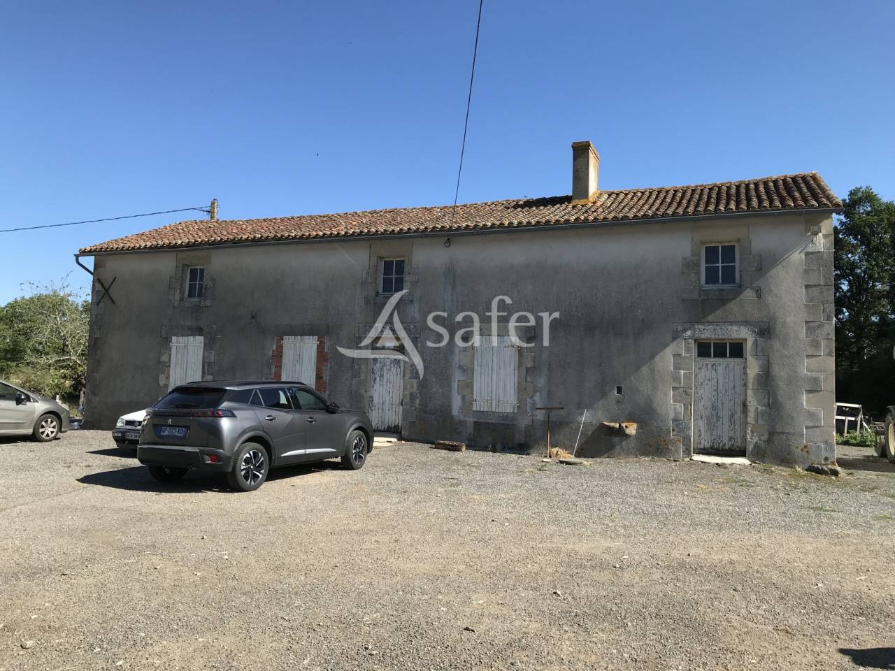 Sheep farm  Charente