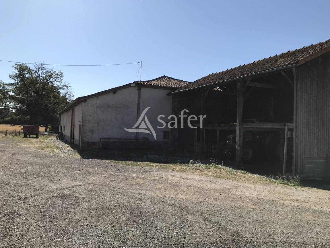 Sheep farm  Charente