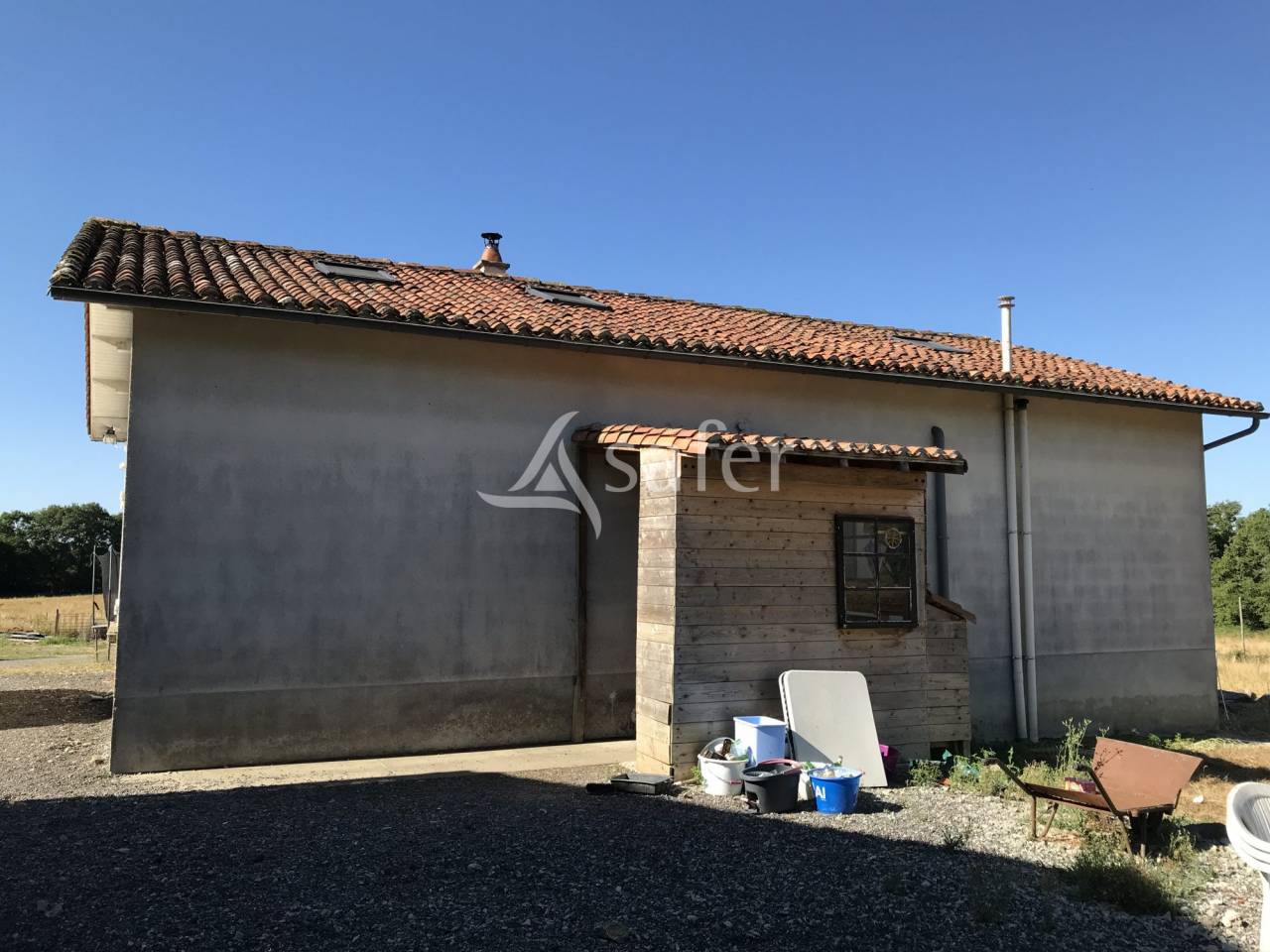 Sheep farm  Charente