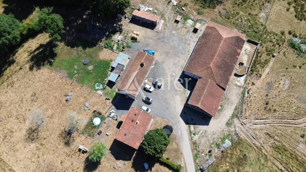 Sheep farm  Charente