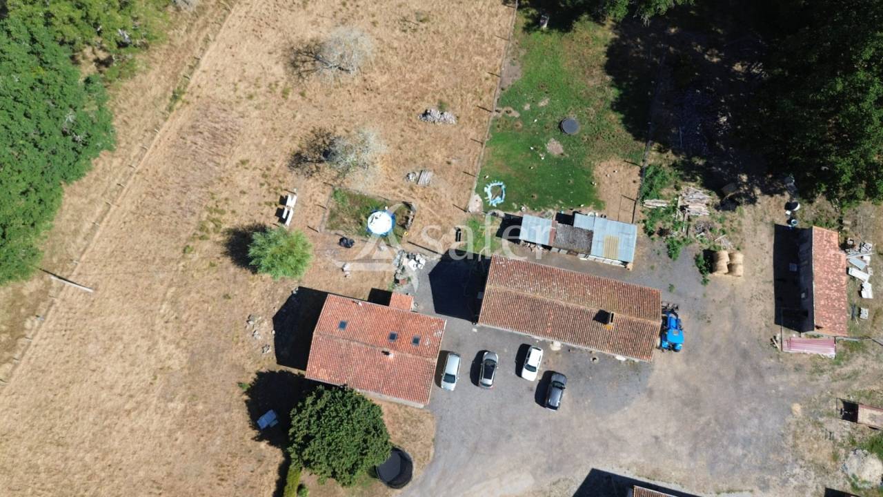 Sheep farm  Charente