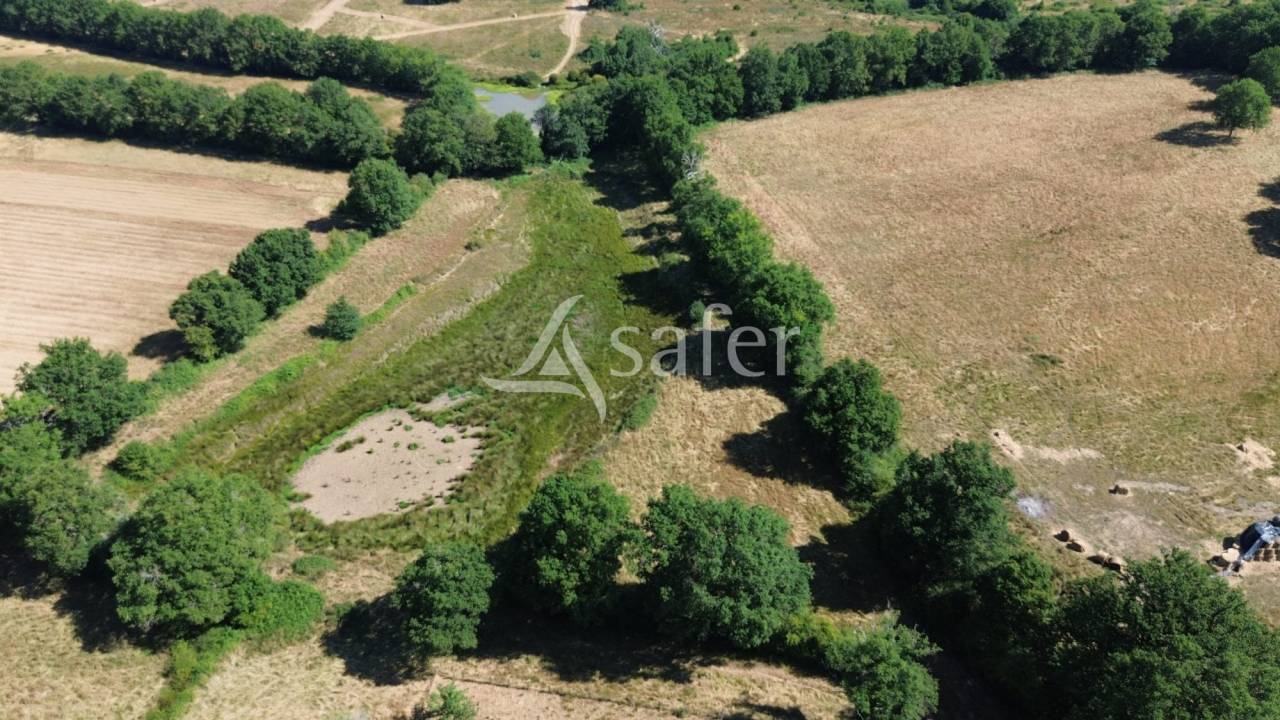 Sheep farm  Charente