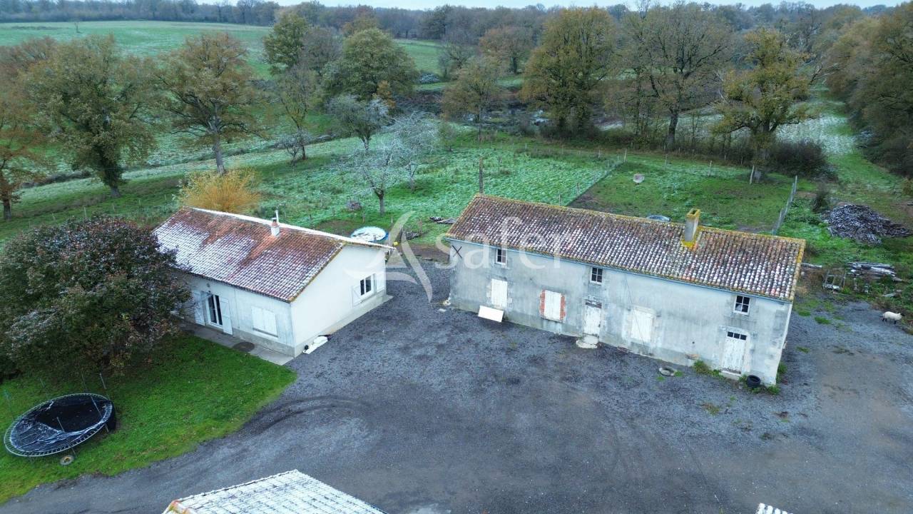 Sheep farm  Charente