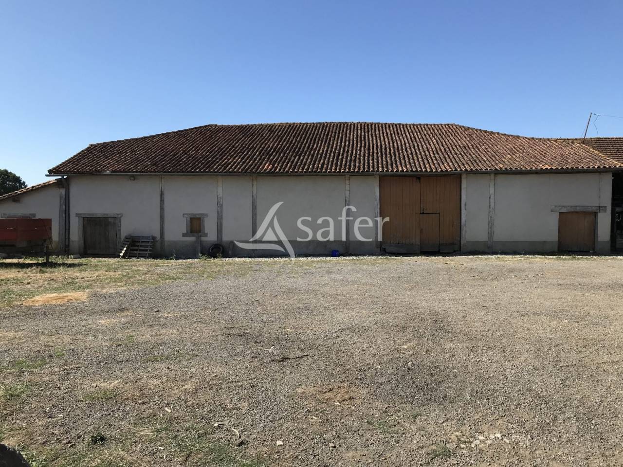Sheep farm  Charente