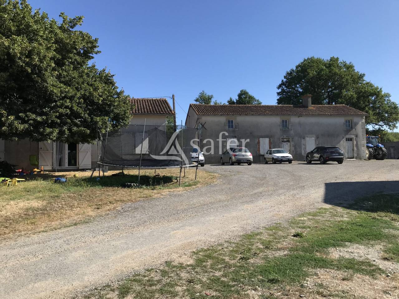 Sheep farm  Charente