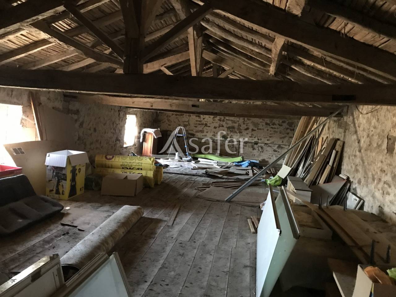 Sheep farm  Charente