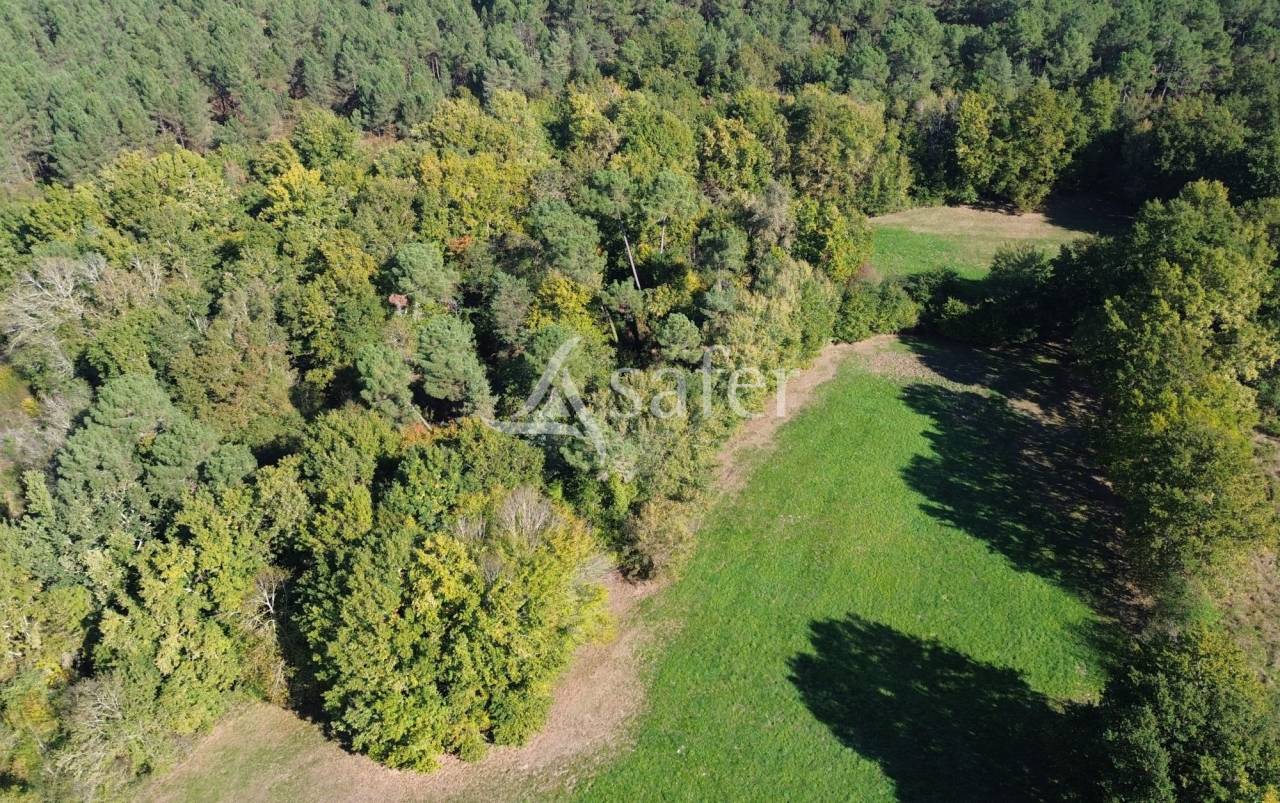 Equestrian property  Dordogne