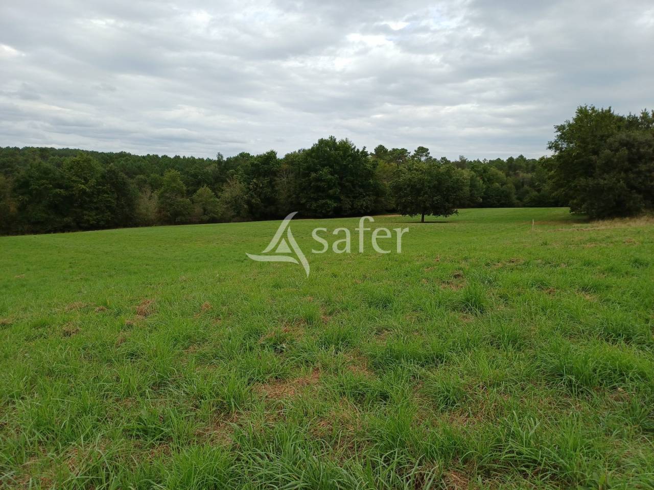 Equestrian property  Dordogne