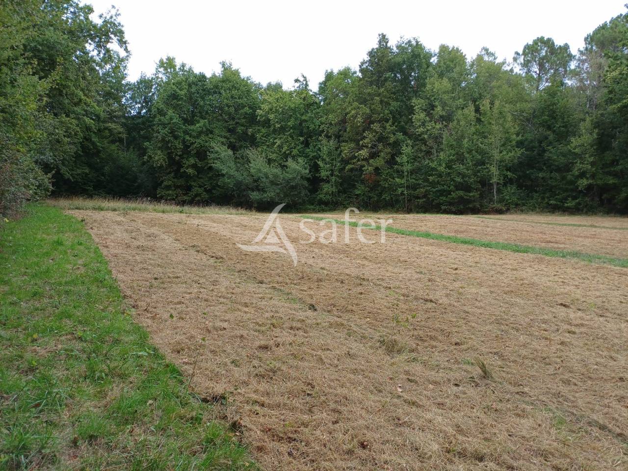 Equestrian property  Dordogne