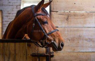 Equestrian property  Bouches-du-Rhône