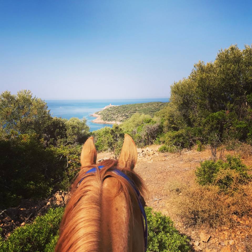 Equestrian tourism - Temporary contract Full time - Corse-du-Sud France