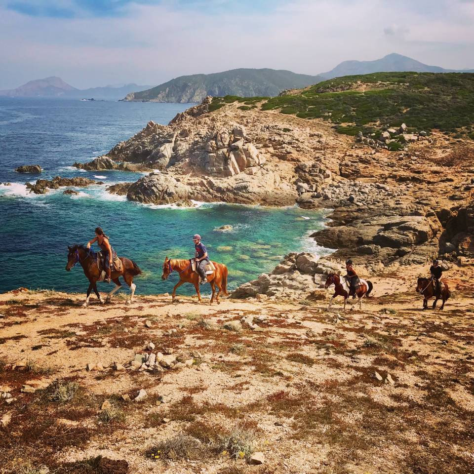 Equestrian tourism - Temporary contract Full time - Corse-du-Sud France