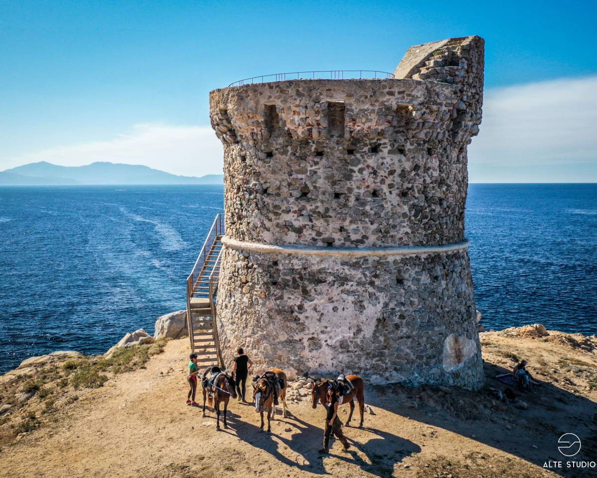 Equestrian tourism - Temporary contract Full time - Corse-du-Sud France