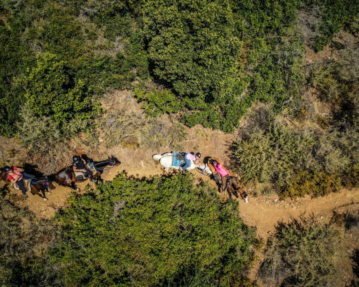 Equestrian tourism - Temporary contract Full time - Corse-du-Sud France