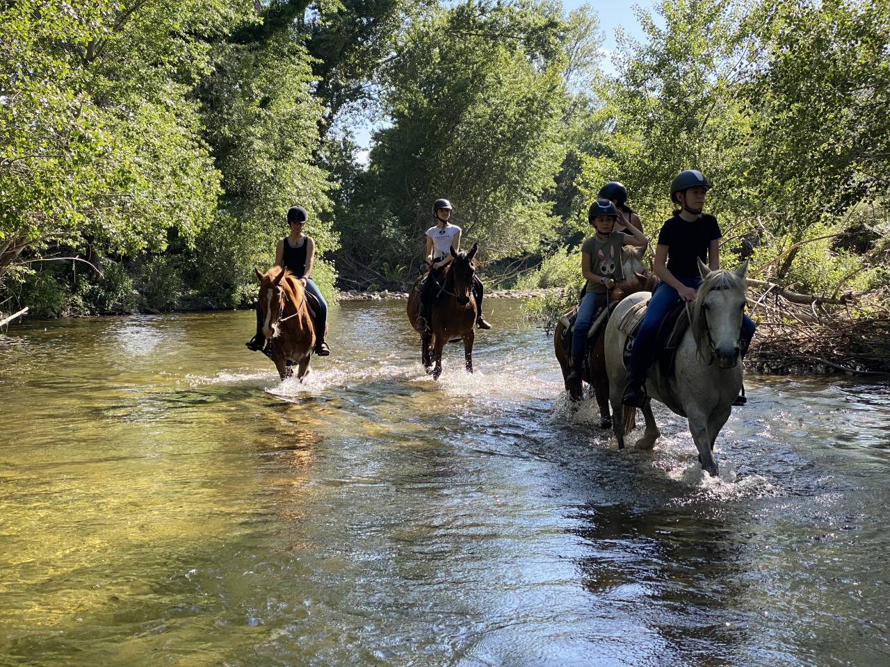 Equestrian tourism - Temporary contract Full time - Corse-du-Sud France