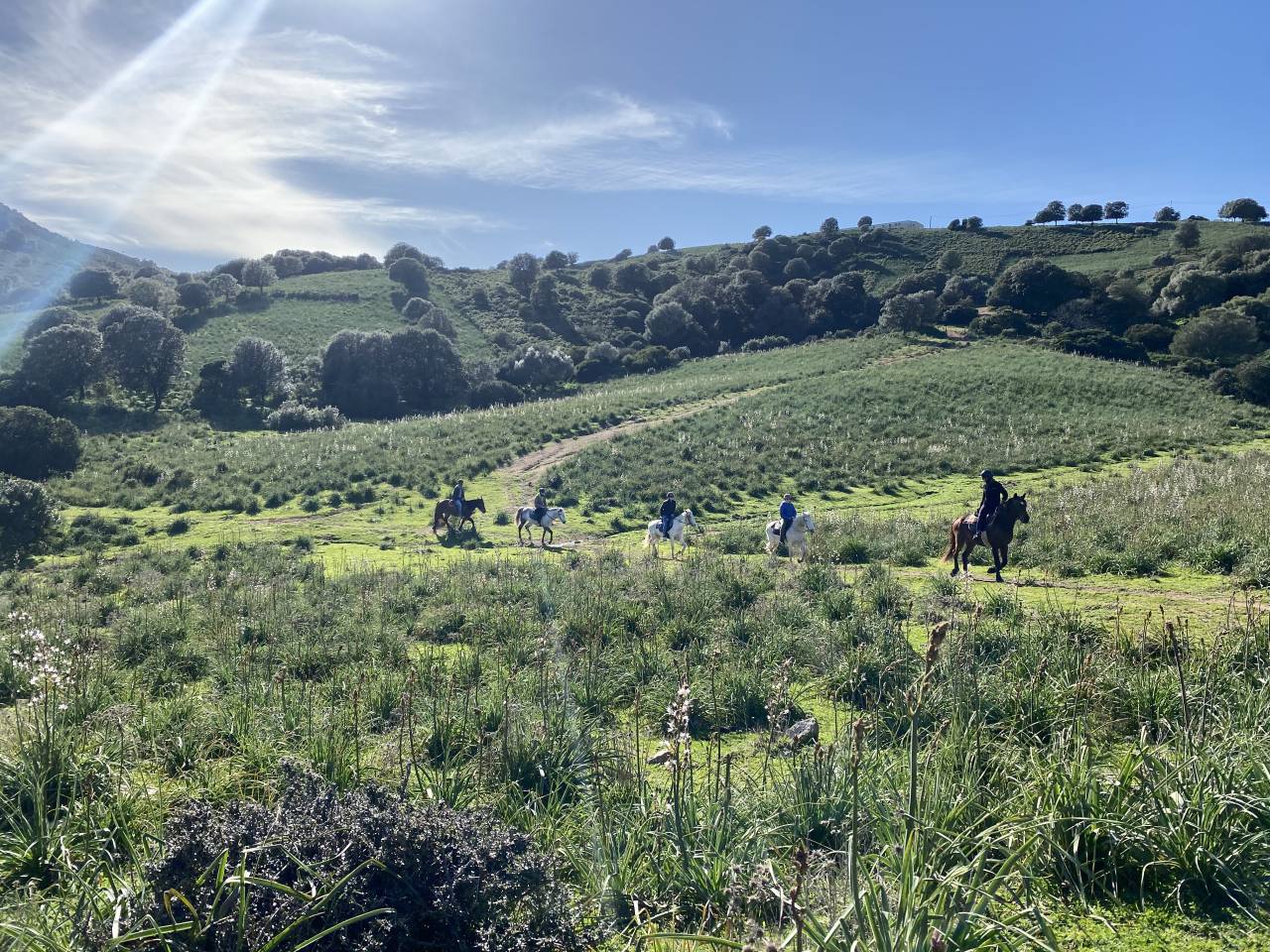 Equestrian tourism - Temporary contract Full time - Corse-du-Sud France