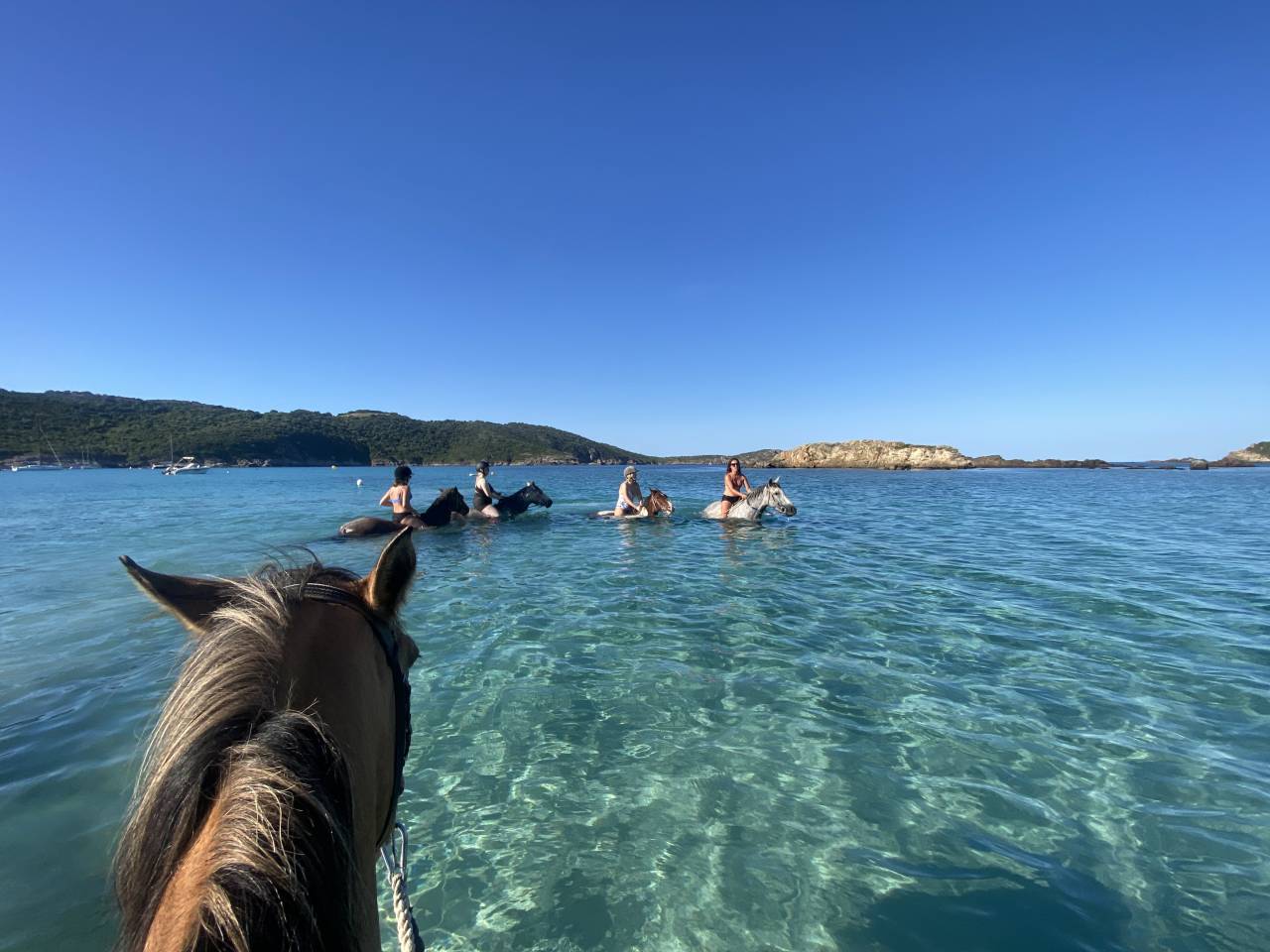 Equestrian tourism - Temporary contract Full time - Corse-du-Sud France