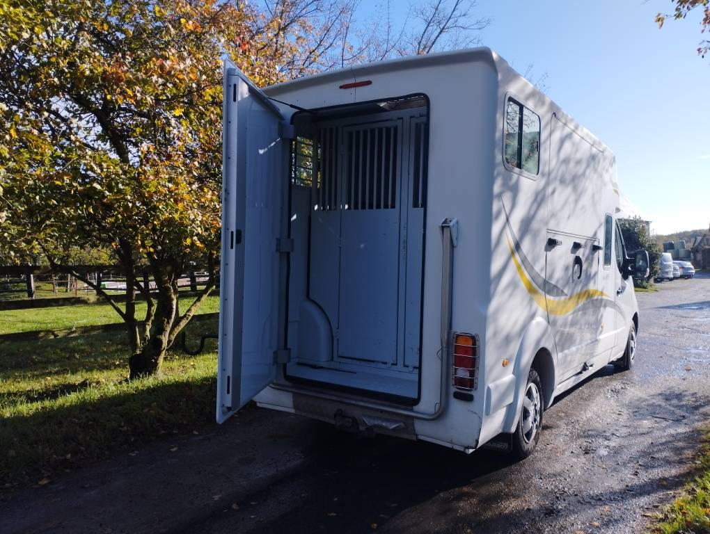 Horsebox HGV Renault MASTER 150 2014 Used
