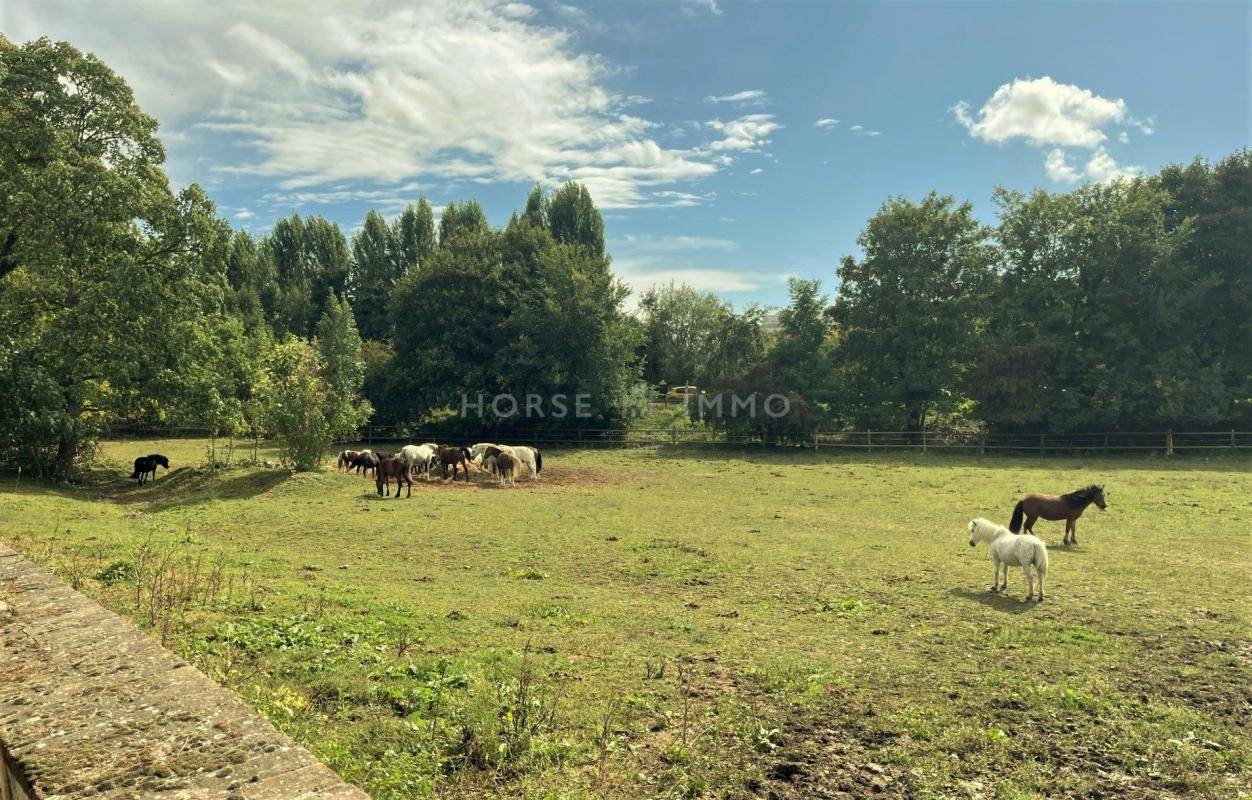 Riding school  Yvelines