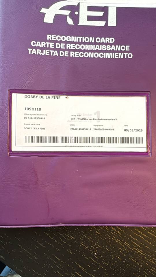 Gelding Hanoverian For sale 2016 Dark Bay