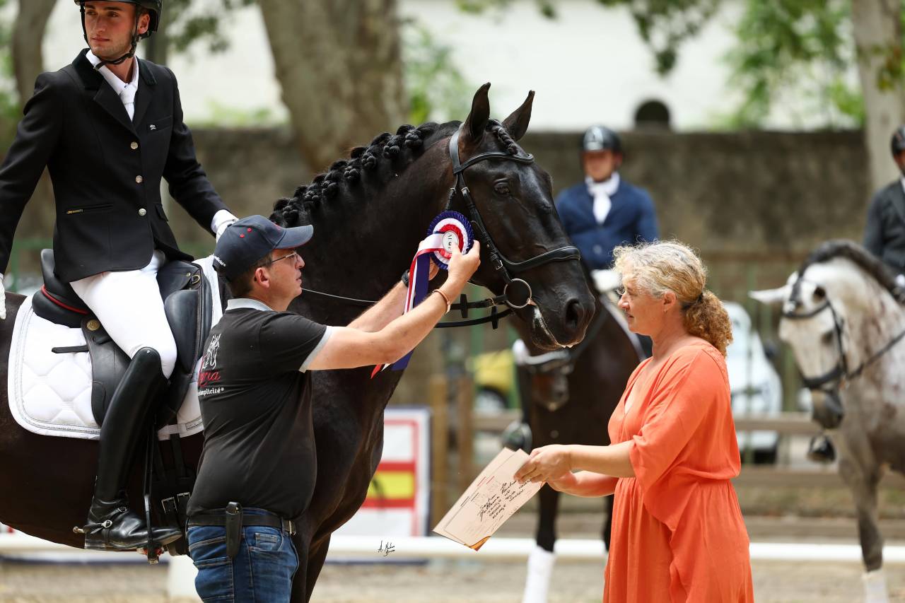 Jango NP - PRE Pure Spanish Bred 2019 by INTIMO SALVATELLA