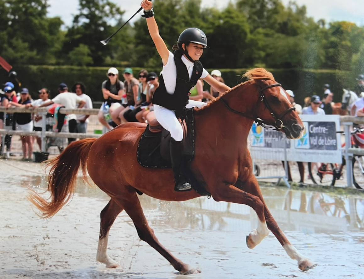 Gelding Origin Recorded For sale 2010 Bay