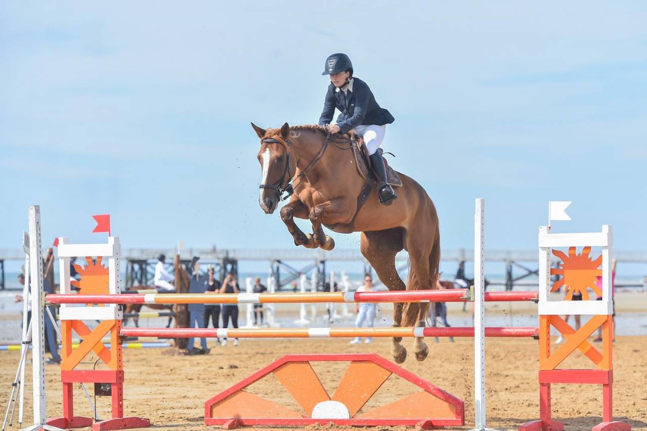 Mare Selle Français For sale 2016 Liver chestnut